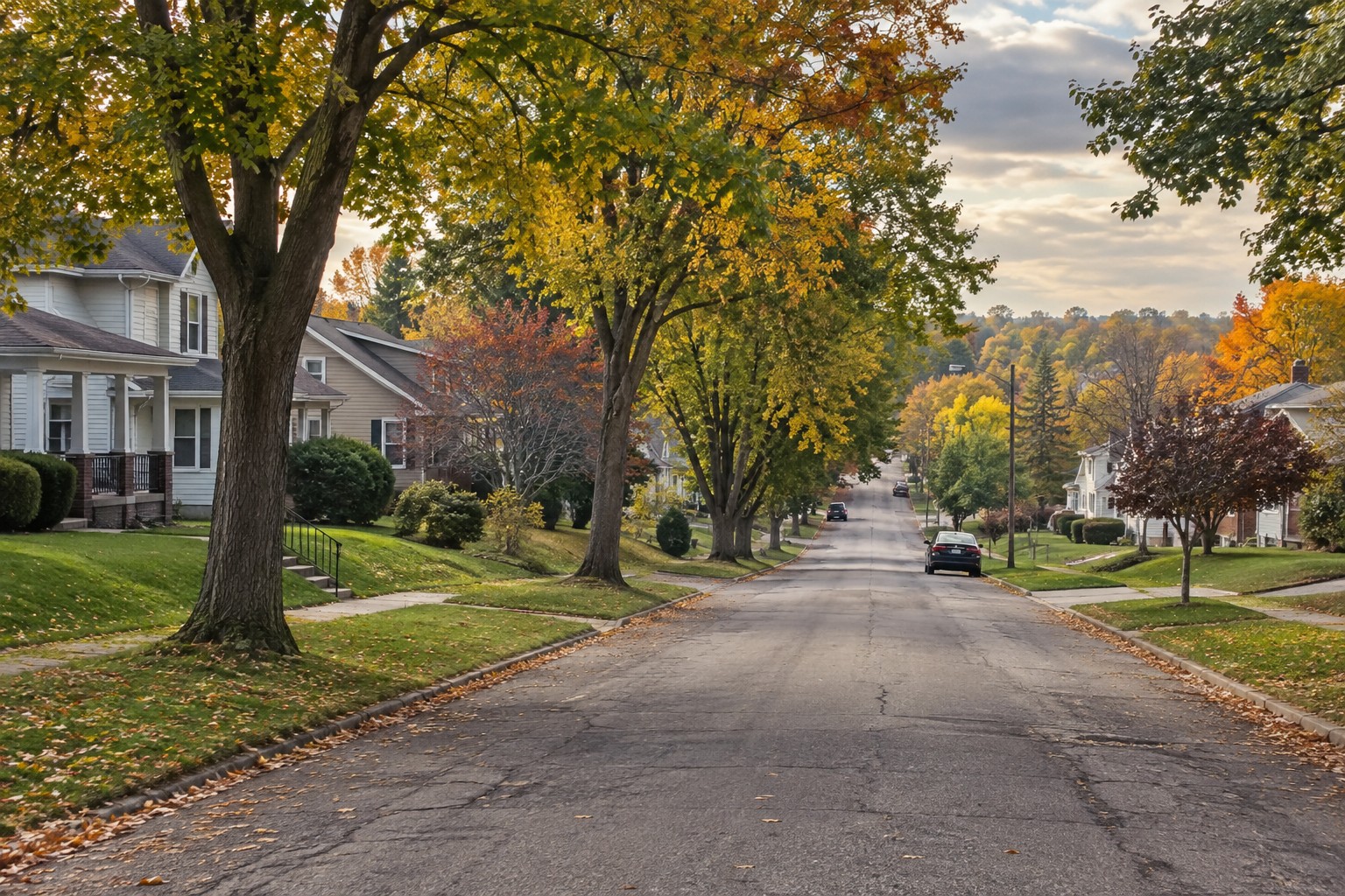 A tree lined Mahoning Valley, Ohio street